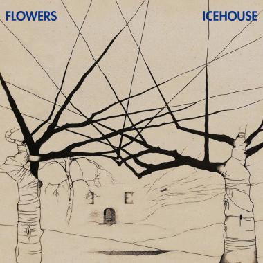 Flowers -  Icehouse